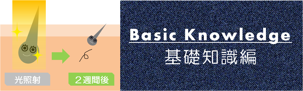 基礎知識編